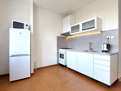 Pronájem bytu 1+1 31 m² Praha