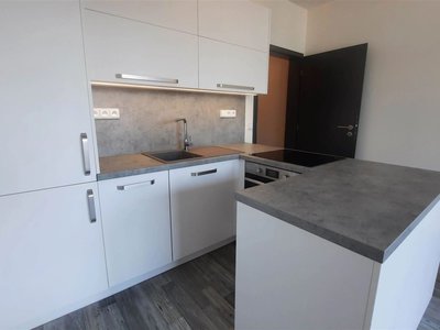 Pronájem bytu 1+kk, garsoniery, 29m²