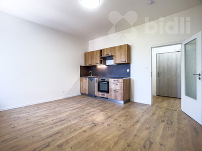 Prodej bytu 1+kk, garsoniery 30 m² Ostrava