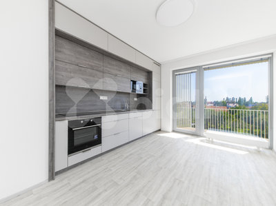 Pronájem bytu 1+1 46 m² Brno