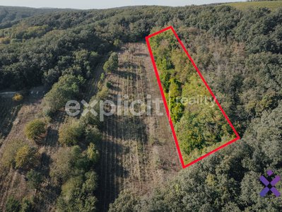 Prodej zemědělské půdy, 3496m²