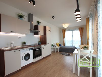 Pronájem bytu 1+kk, garsoniery 33 m² Brno