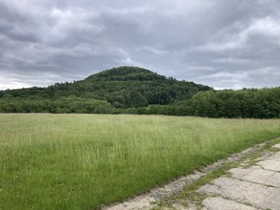 Prodej ostatních pozemků 1449 m² Děčín