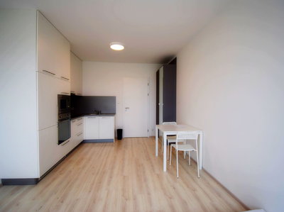 Pronájem bytu 1+kk, garsoniery 37 m² Praha
