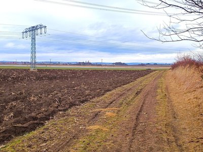 Prodej zemědělské půdy 1146 m² Blučina