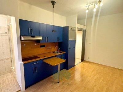 Pronájem bytu 1+kk, garsoniery, 20m²