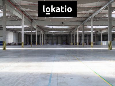 Pronájem skladu, 10000m²