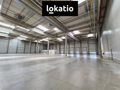 Pronájem skladu 4650 m² Kadaň