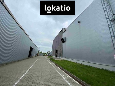Pronájem skladu 3600 m² Hodonín