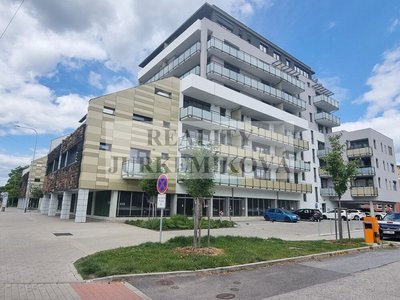 Pronájem bytu 2+kk 56 m² České Budějovice