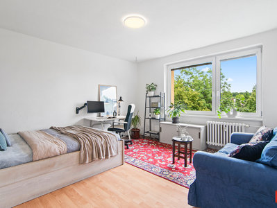 Prodej bytu 1+1 39 m² Praha