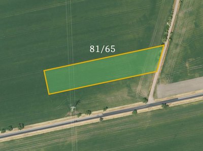 Prodej zemědělské půdy 1232 m² Dobšice