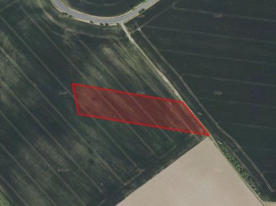 Prodej zemědělské půdy 9659 m² Malešov