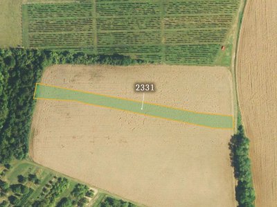 Prodej zemědělské půdy 31742 m² Boleradice