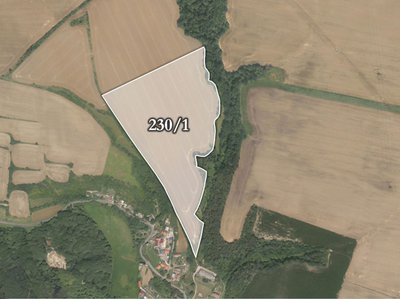 Prodej zemědělské půdy 53325 m² Štětí