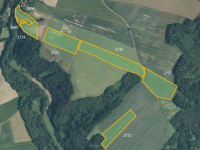 Prodej zemědělské půdy 158560 m² Jindřichov