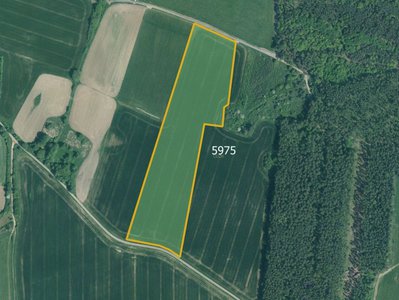 Prodej zemědělské půdy 77267 m² Slabčice