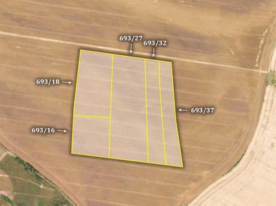 Prodej zemědělské půdy 24456 m² Štětí
