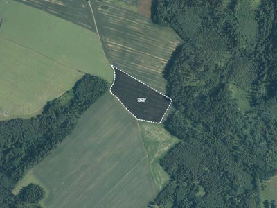 Prodej zemědělské půdy 35246 m² Jindřichov