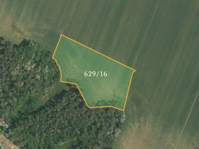 Prodej zemědělské půdy 15379 m² Sazená