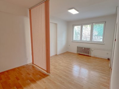 Pronájem bytu 1+1 40 m² Liberec