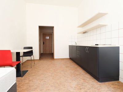 Pronájem bytu 1+kk, garsoniery, 24m²