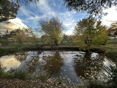 Prodej stavební parcely, 1945m²