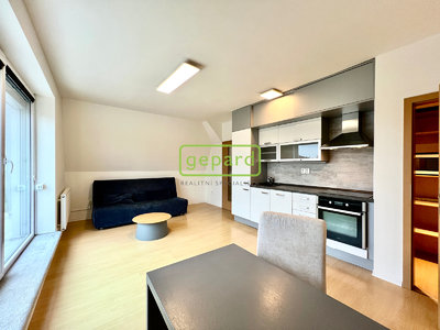 Pronájem bytu 2+kk 48 m² Praha