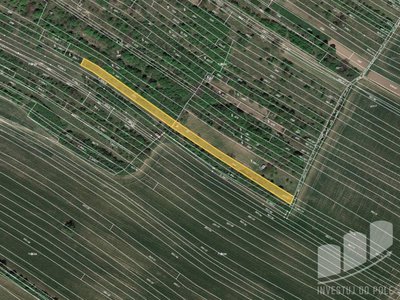 Prodej zemědělské půdy 2027 m² Klobouky u Brna