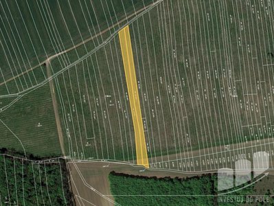 Prodej zemědělské půdy 12018 m² Brumovice