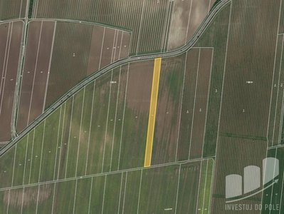 Prodej zemědělské půdy 4997 m² Strachotín