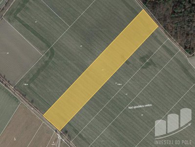 Prodej zemědělské půdy 13936 m² Velký Borek