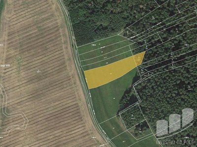 Prodej zemědělské půdy 4264 m² Křenice