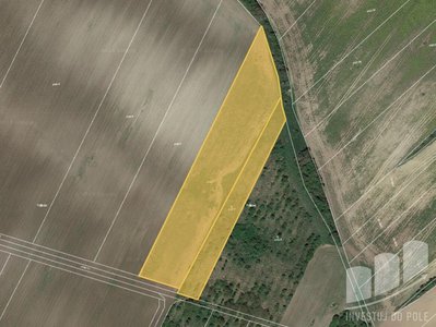 Prodej zemědělské půdy 2413 m² Hustopeče
