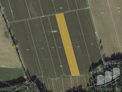 Prodej zemědělské půdy 6064 m² Olešnice