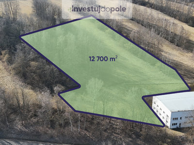 Prodej komerčního pozemku, 12700m²