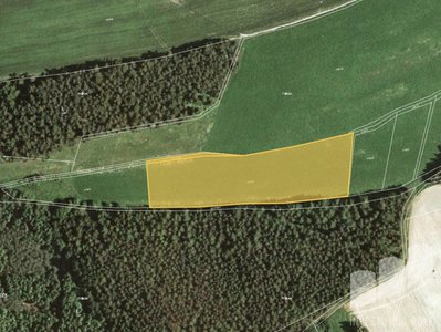 Prodej zemědělské půdy 10903 m² Vítějeves