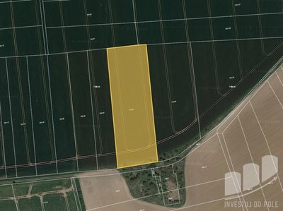 Prodej zemědělské půdy 3337 m² Křenice