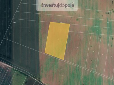 Prodej zemědělské půdy, 2337m²