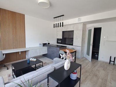 Pronájem bytu 2+kk 43 m² Praha