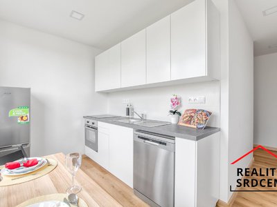 Pronájem bytu 2+1 55 m² Karviná