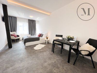 Pronájem bytu 1+kk, garsoniery 26 m² České Budějovice