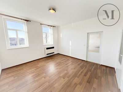 Pronájem bytu 1+1, 46m²