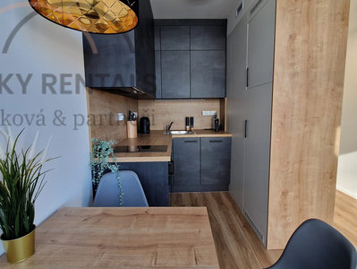 Pronájem bytu 2+kk 40 m² Praha