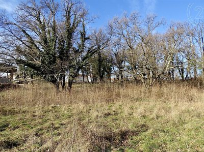 Prodej stavební parcely, 831m²