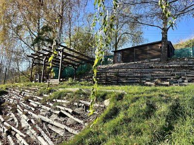 Prodej zahrady 365 m² Tachov