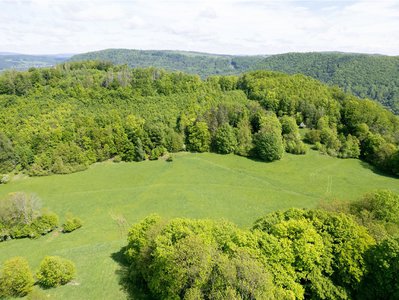 Prodej louky 22595 m² Děčín