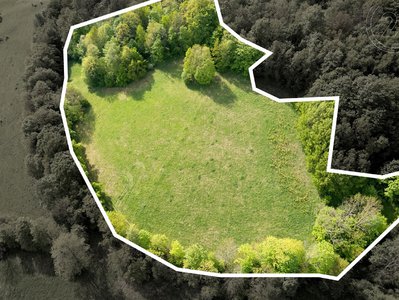Prodej louky 27274 m² Děčín