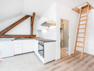 Pronájem bytu 1+kk, garsoniery 40 m² České Budějovice