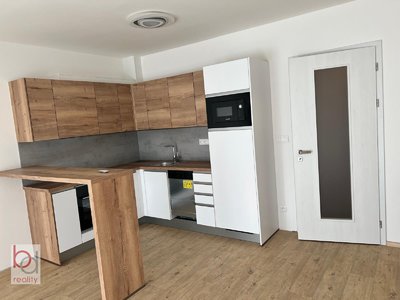 Pronájem bytu 1+kk, garsoniery 47 m² České Budějovice